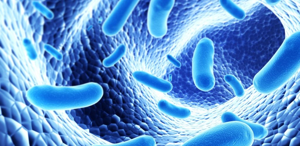 Listeria Monocytogenes